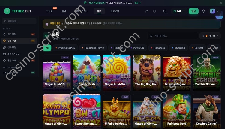Tethergame The Ultimate Multi Vertical iGaming and Crypto Betting Ecosystem